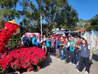 行銷台7線農產品 復興枕頭山商圈促銷活動「燒滾滾」