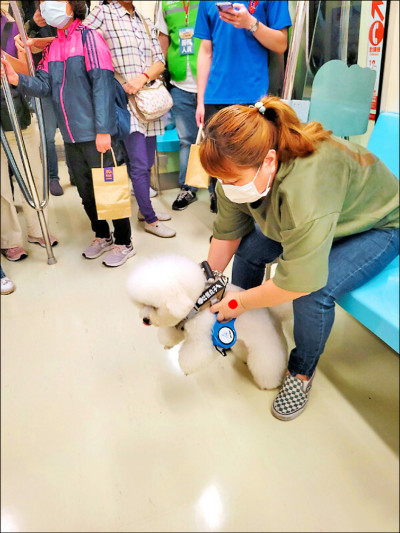 高雄寵物公車 擬放寬籠具尺寸