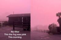 這不是濾鏡！英國多地清晨驚見「粉紫色濃霧」 網友直呼：超夢幻
