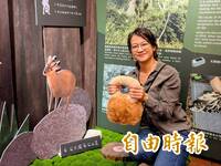 體驗「空中霸主」獵捕山羌!玉山瀕危熊鷹特展登場