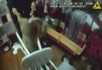耶誕商店門窗遭「野生馴鹿」撞破 美警調侃：找不到雪橇在哪？