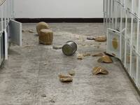 台東平安夜6.1強震  卑南納骨塔8個骨灰甕摔地破碎