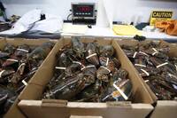 運往Costco活龍蝦半路遭劫走！價值近1300萬 驚動FBI