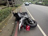 深坑山道「猴」突竄出 重機閃避不及撞死猴、騎士骨折