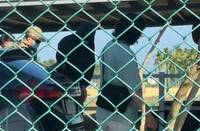 屏東南州傳槍響！槍砲通緝犯躲牛羊農場 警圍捕遭衝撞3人傷