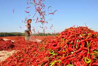 中國人怒了！小屁孩多次偷竊外送餐 吃到「變態辣」送醫竟要究責