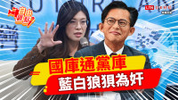 自由觀點》國庫通黨庫 藍白狼狽為奸！