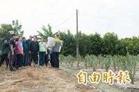 政院核定公地放領地價計算標準 內政部：配合修法簡化行政流程