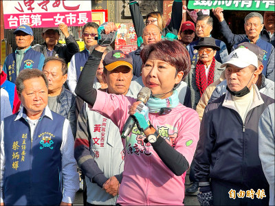 民進黨南市長初選 林俊憲喊團結 陳亭妃大動員
