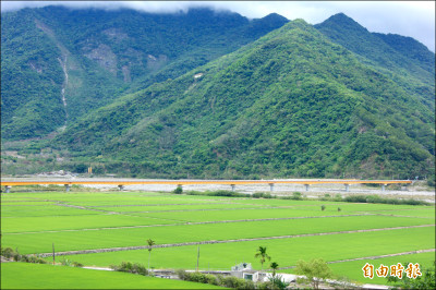 （台東）好水種出海端米 盼打造自有品牌