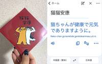 好萌！ 台灣原創春聯「貓貓安康」 吸引168萬日本網友朝聖爆紅