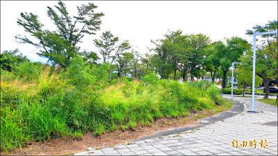 3.3億改造台東門面 車站周邊雜草叢生