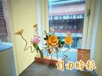 竹縣茶花節1/17起登場 茶花展到2月初、茶花遊賞到2月底