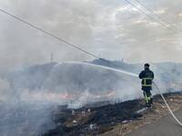 苗栗西山公墓火燒山！飛火亂竄多點開花 消防苦戰5小時才撲滅