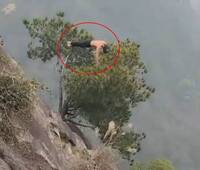 腳下是深崖！赤膊男峭壁樹梢做伏地挺身 同行揭真實身分