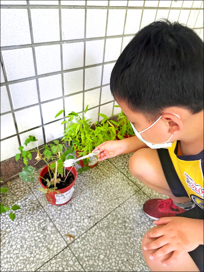 龜山自強國小拚垃圾減量 蛋殼變肥料