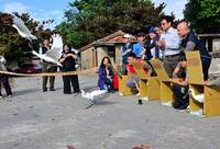 4隻黑面琵鷺肉毒桿菌中毒 救援成功台南野放