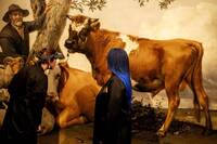 牛蛋蛋太大不雅被修小！ 17世紀名畫《公牛》隱藏秘密曝光