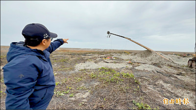 麥寮濁水溪出海口 6隻東方白鸛定居