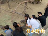 親近動物體驗生命教育 高雄內門「野森動物學校」試營運