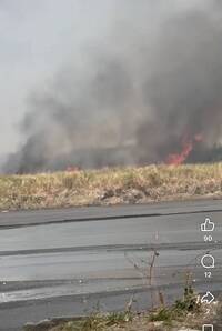 太誇張！西螺大橋北岸草生植物悶燒 飛灰飄10公里遠