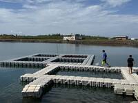 引進中間育成與基因監測 科學證實放流成效