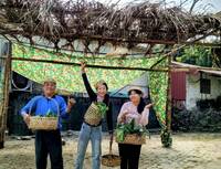 以穿山甲保育為核心意象 台南龍崎惡地共生市集週六登場