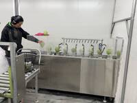 台東場推鳳梨釋迦清潔機 效率提升逾3倍