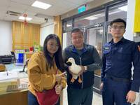 傻眼！柯爾鴨放風竟凌空脫逃 見正妹從空而降投懷送抱