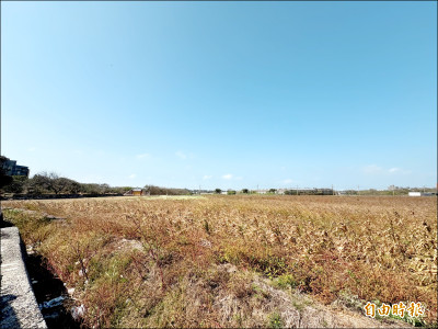 麥寮綠色科技園區 打造關鍵材料重鎮