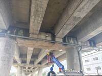 台66線下方水泥橫梁「3層樓高」有貓！ 出動吊車誘捕救援