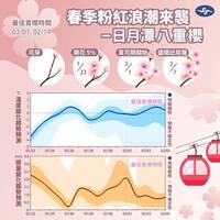 賞櫻花衝一波！九族、日月潭八重櫻 估2月初到2月中盛開