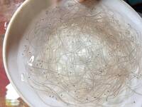 走私上千萬鰻苗遭陸海警查扣  貨主等8人疑被黑吃黑擄人判囚落幕