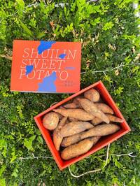 地瓜也能很時尚！水林「精品地瓜禮盒」爆紅 只送不賣