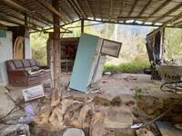 黑熊連續入侵阿里山工寮 誘捕與監測同步加強