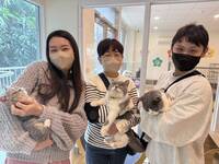 品種幼貓超搶手！ 嘉義縣喵星人命定配對開始囉