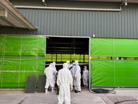 台中蛋雞場瞞染禽流感  議員曝業者「這麼敢」原因