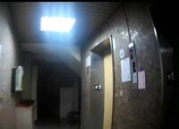 疑和男友爭吵情緒失控  台中無業媽害死3歲、8歲兒恐涉這些罪