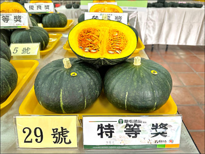 草屯栗南瓜評鑑競賽 李穎忠種出2特等獎