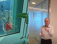 德式幽默？霍諾德爬101經過辦公室 「德國在台協會」這句話戳中網友