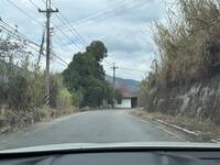 便所的巨人？南投路旁驚見「綠巨人」沉思蹲馬桶