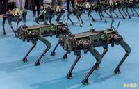 不只無人機丶無人艇  1.25兆軍購特別預算還要買數百部「機器狗」