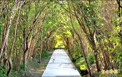 竹縣頭前溪右岸自行車道 9日開騎