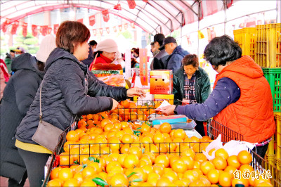 竹縣柑好過年 幫農友促銷衝買氣