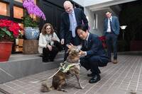 春節前赴總統官邸一起「擼狗」 谷立言曝：與賴清德深談台美合作