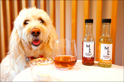 中英對照讀新聞》New Zealand company sells non-alcoholic wine for pets 紐西蘭公司推出寵物專用無酒精葡萄酒