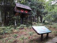 春節走春納福去！ 全台最有「蝠」氣國家公園在這裡