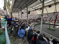 馬術特技夯翻天！清境人潮「滿坑滿谷」 入園湧近8000人