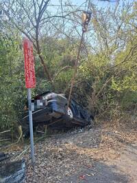 嬤載3孫賞櫻失控撞邊坡 車卡樹林1人骨折