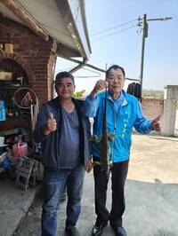 綠鬣蜥北擴苗栗三灣鄉 還挑新鮮水果品嚐